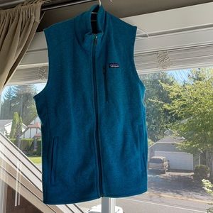 Patagonia blue men’s vest